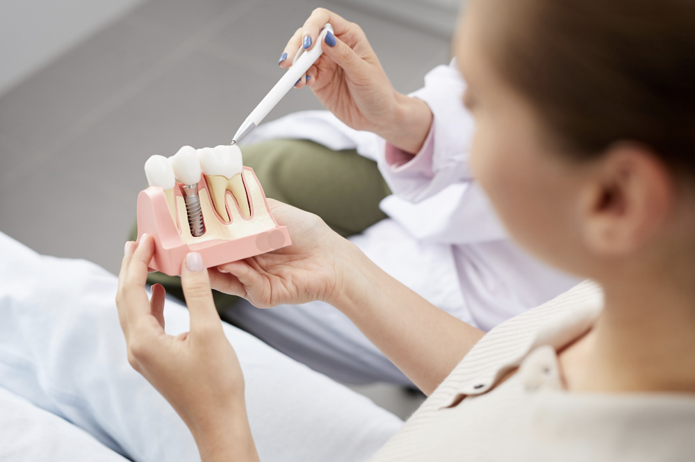 A woman showcases a tooth model in her hand, representing dental implants at Scheske Family Dental.
